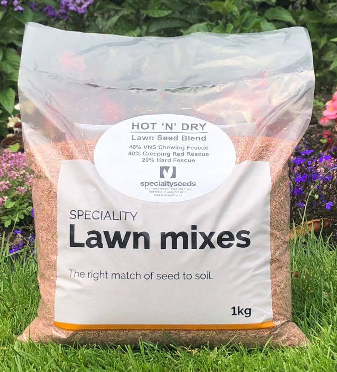 Hot and Dry Lawn Seed Blend